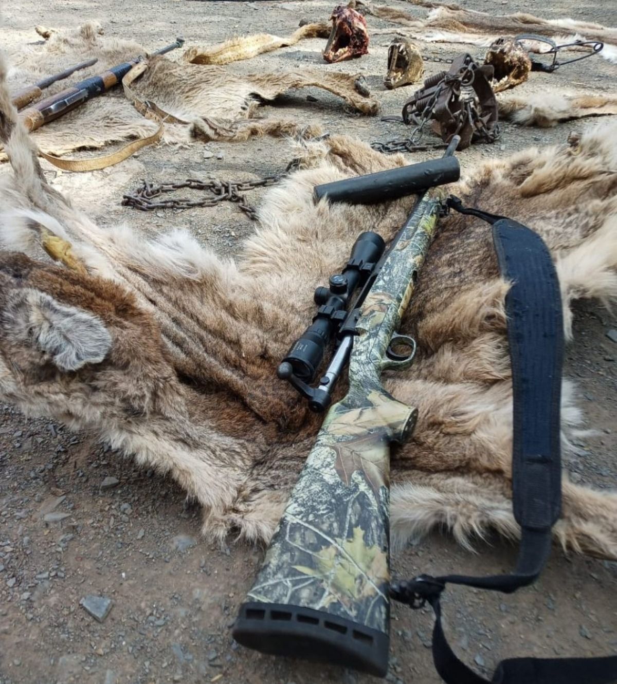 Parte de la evidencia hallada por la Policía en las últimas horas en los operativos contra el abigeato y el tráfico de animales.