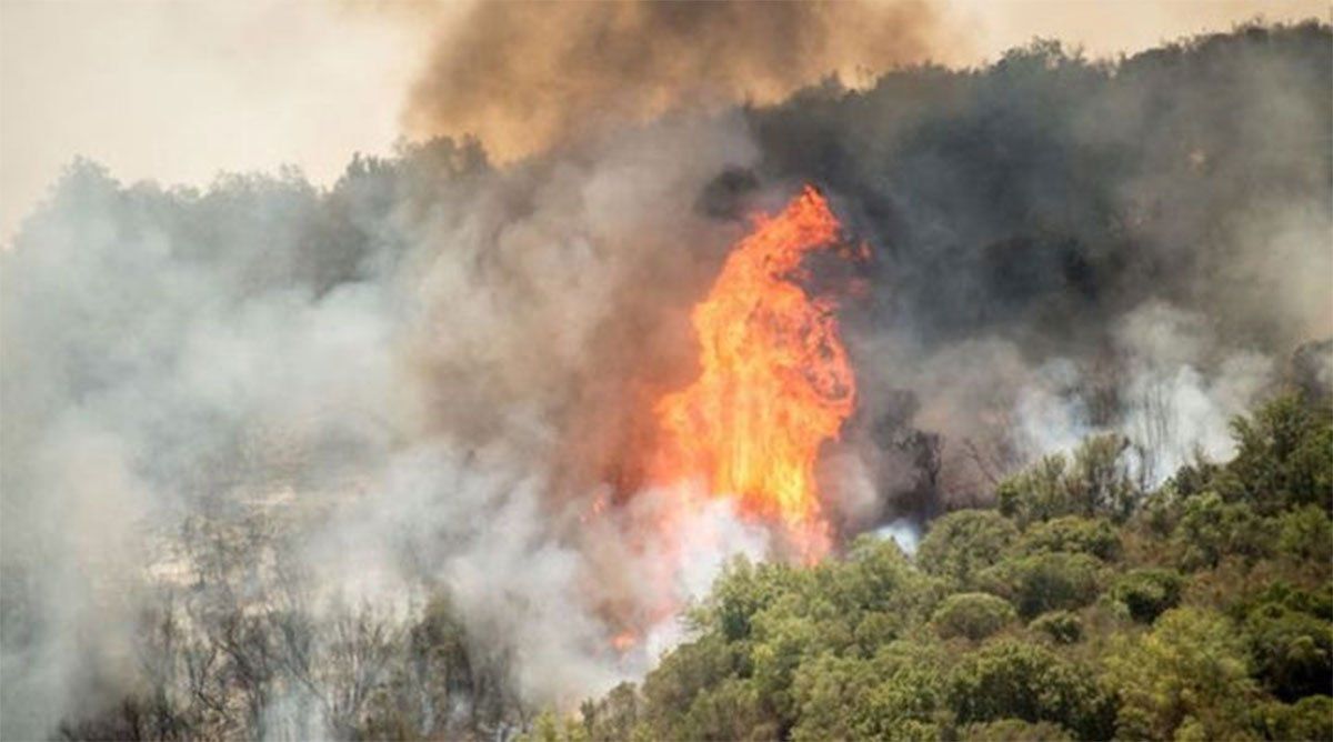 El fuego arrasó más de 22 mil hectáreas de las yungas jujeñas. Foto: Gentileza El Tribuno de Jujuy.
