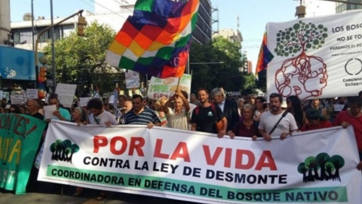 Fuente: https://agencia.farco.org.ar/ Fuente: https://agencia.farco.org.ar/