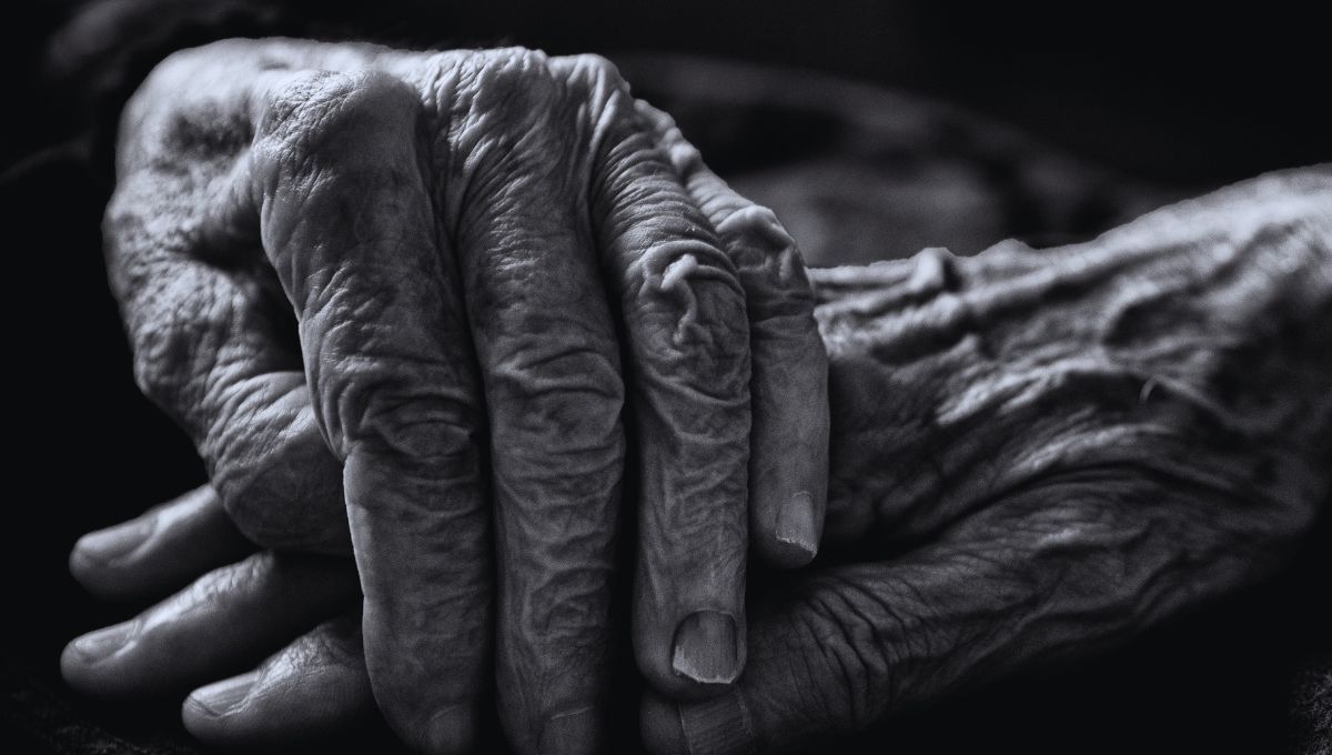 FUENTE CANVA FUENTE CANVA