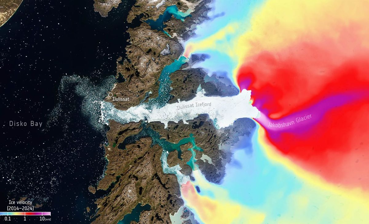 Satélites revelan la verdad: el hielo polar está desapareciendo a una velocidad alarmante