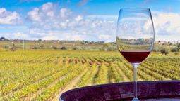 La vitivinicultura y la producción de hortalizas son dos de las actividades entre las economías regionales que no salen del rojo según el semáforo de Coninagro. Imagen ilustrativa La vitivinicultura y la producción de hortalizas son dos de las actividades entre las economías regionales que no salen del rojo según el semáforo de Coninagro. Imagen ilustrativa