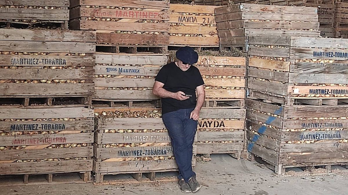 La producción agrícola de Mendoza ha sumado a la cebolla dulce entre sus productos frescos de exportación. La producción agrícola de Mendoza ha sumado a la cebolla dulce entre sus productos frescos de exportación.