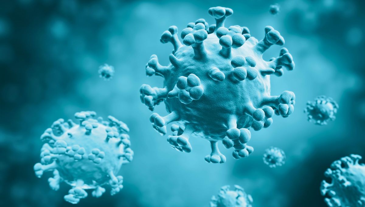 Avanzan los virus respiratorios en todo el mundo. Avanzan los virus respiratorios en todo el mundo.