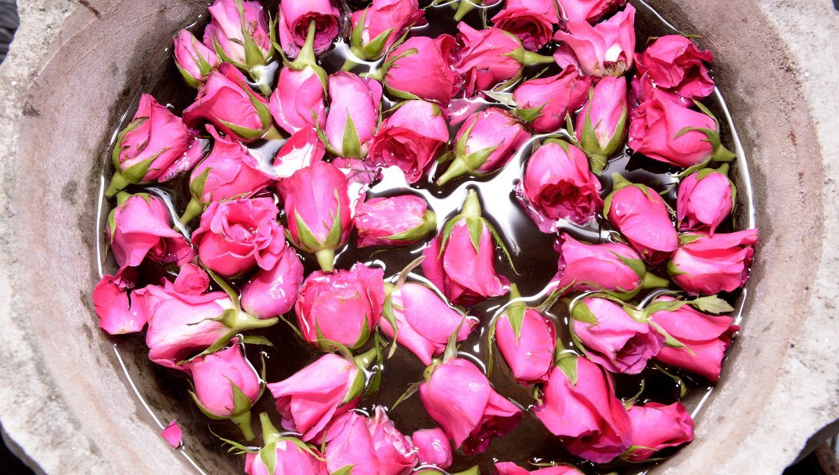 Cómo hacer agua de rosas en casa: ingredientes y paso a paso