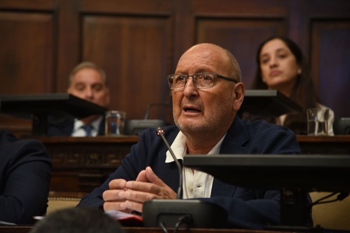 El senador Marcelino Iglesias, de la UCR, fue el autor de la reforma a la ley de arbolado público. El senador Marcelino Iglesias, de la UCR, fue el autor de la reforma a la ley de arbolado público.