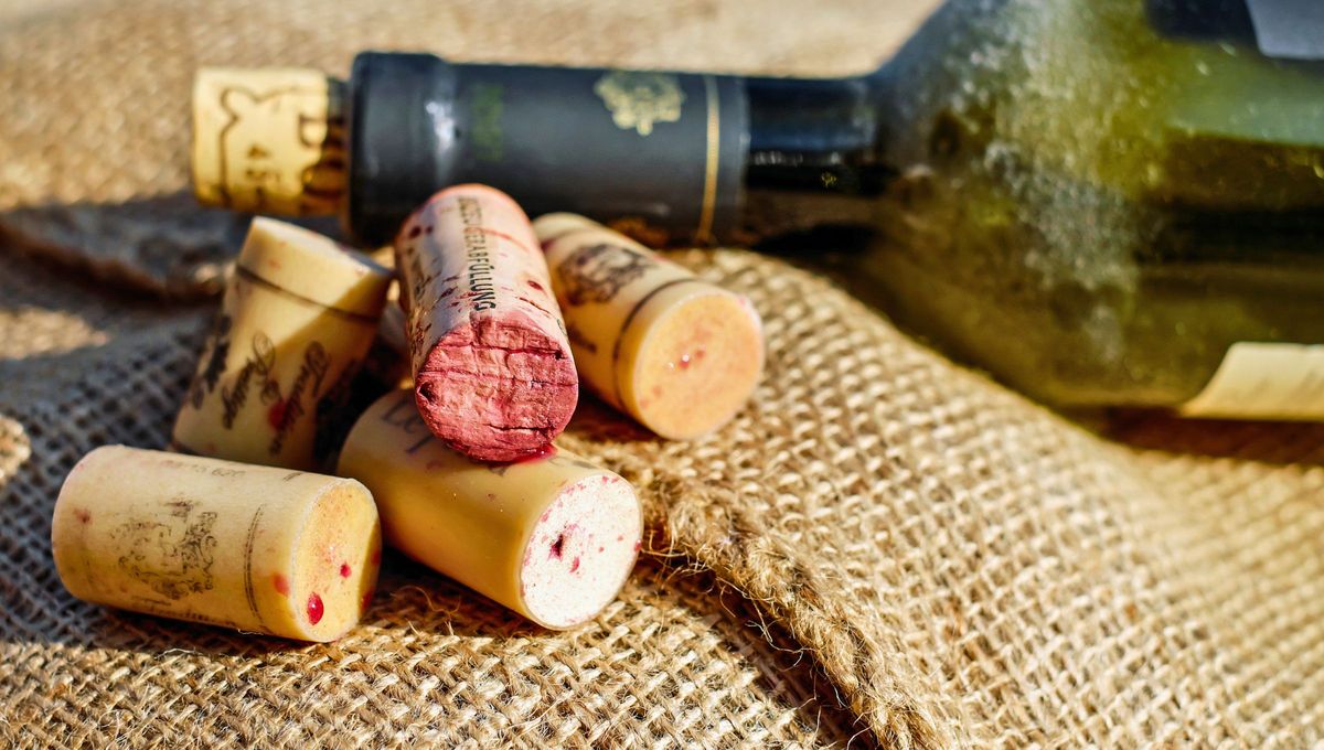 El corcho es un material ligero con propiedades aislantes que permiten conservar todas las cualidades del vino. Pero una vez que se consume la bebida, no se debe tirar ni la botella ni el mencionado tapón, ya que podemos beneficiar a nuestras plantas con ellos El corcho es un material ligero con propiedades aislantes que permiten conservar todas las cualidades del vino. Pero una vez que se consume la bebida, no se debe tirar ni la botella ni el mencionado tapón, ya que podemos beneficiar a nuestras plantas con ellos