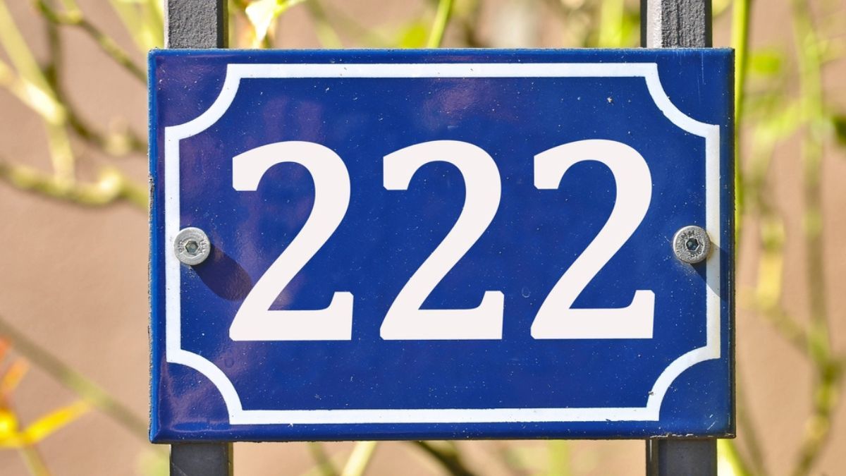 Portal 22/2: qué significa y cuál es el mejor ritual para atraer dinero y amor en este día mágico