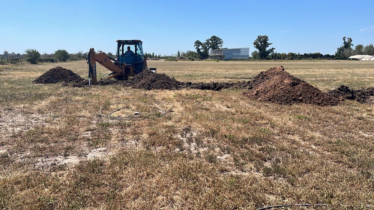 El trabajo que realiza Reforestación no solo es el de trasladar los árboles, sino acondicionar tanto el terreno en donde se va a replantar, como el terreno del que se quita el árbol. El trabajo que realiza Reforestación no solo es el de trasladar los árboles, sino acondicionar tanto el terreno en donde se va a replantar, como el terreno del que se quita el árbol.