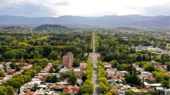 Aún no se reglamenta le nueva Ley de Arbolado Público