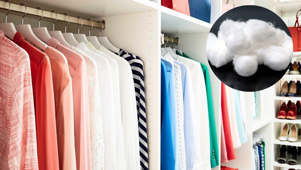 El algodón dentro del placard de tu ropa es recomendable debido a sus grandes beneficios