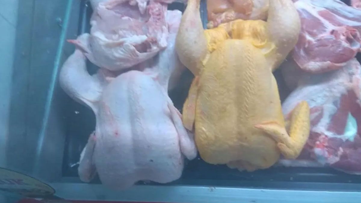 El pollo con piel blanca y el de piel amarilla