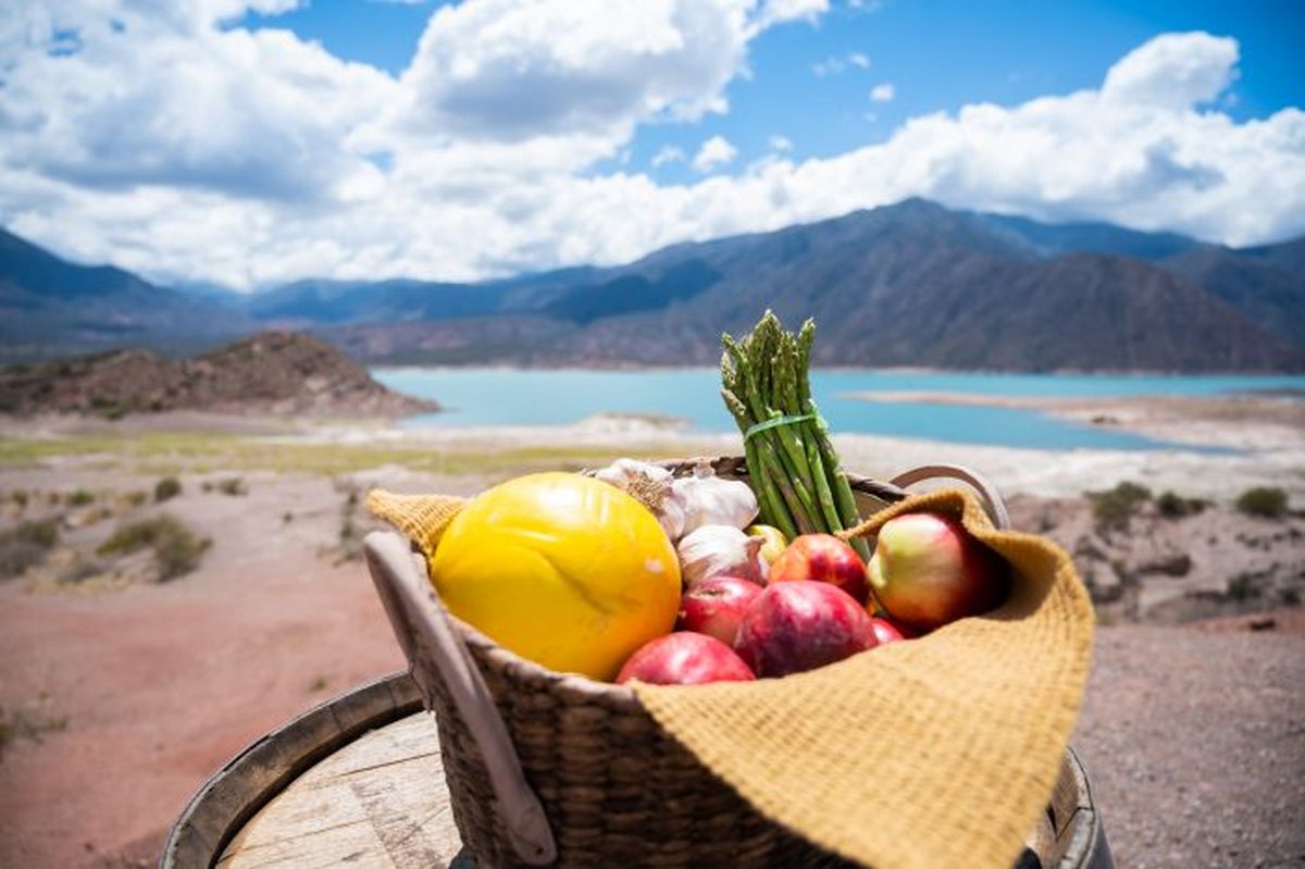 Potrerillos es una de los grandes atracciones para turistas. Potrerillos es una de los grandes atracciones para turistas.