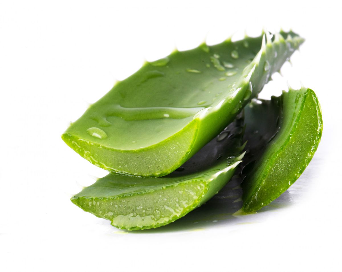 El uso adecuado de aloe vera puede traer beneficios para la salud. Imagen de Freepik.