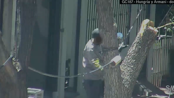 Video: atraparon a dos hombres por el robo de cables en Godoy Cruz 
