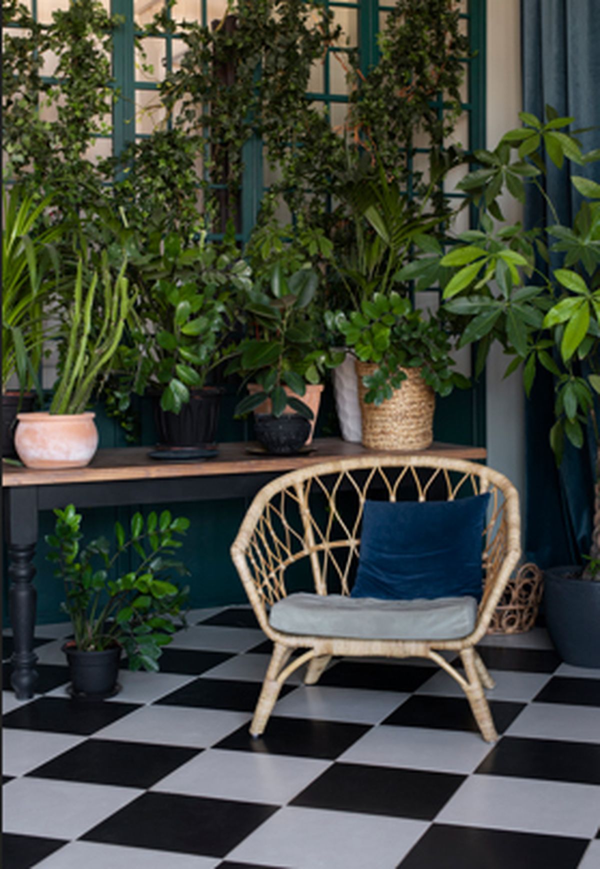 Las plantas de exterior, incluyendo enredaderas en pérgolas, son muy buenas para regular la temperatura interna de una casa.  Las plantas de exterior, incluyendo enredaderas en pérgolas, son muy buenas para regular la temperatura interna de una casa. 