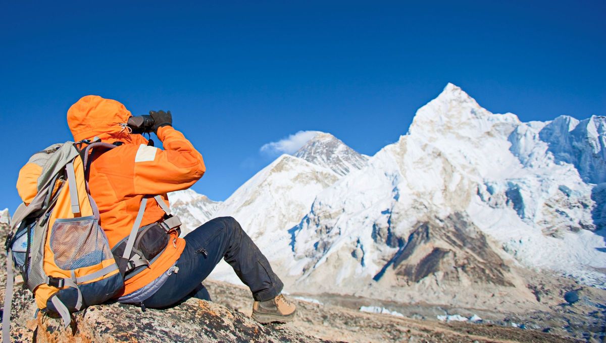 Respuesta del acertijo. Respuesta del acertijo.