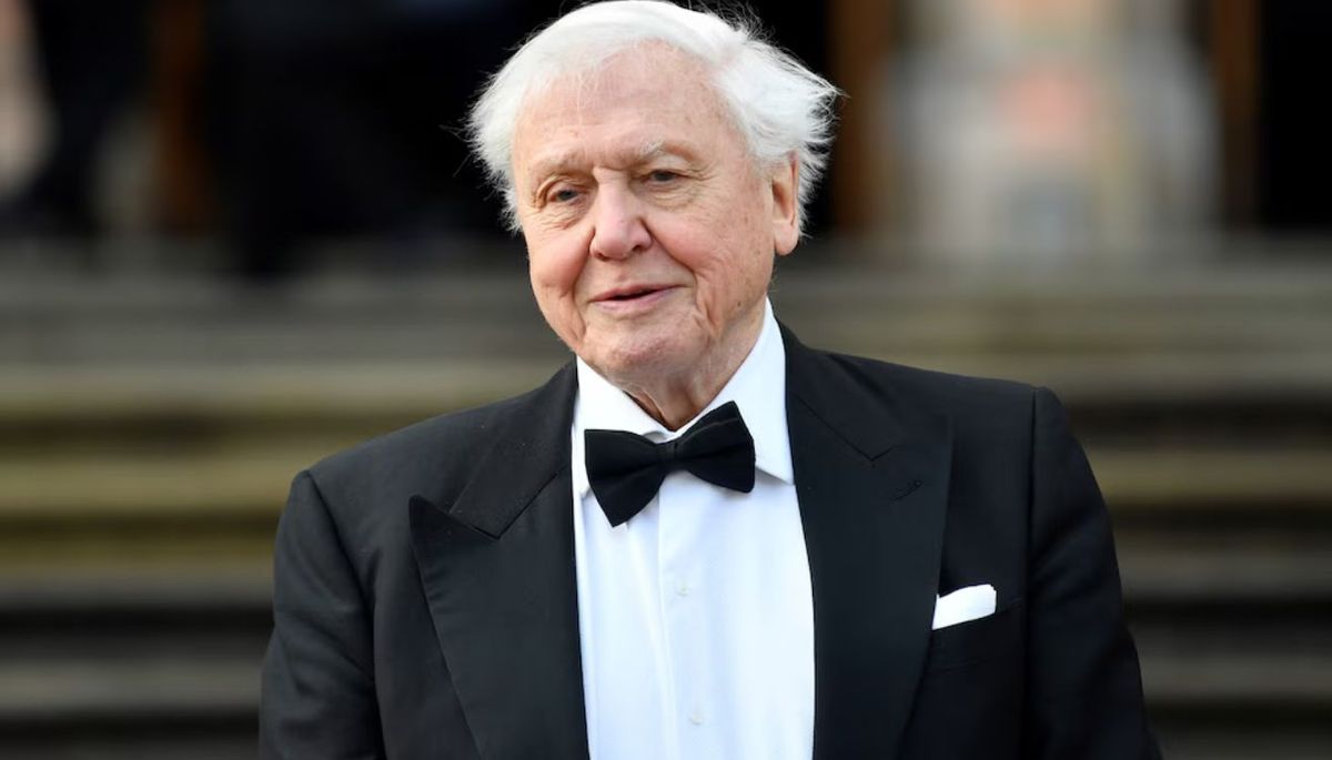 Sir David Attenborough celebró sus 100 años. Imagen BBC. Sir David Attenborough celebró sus 100 años. Imagen BBC.