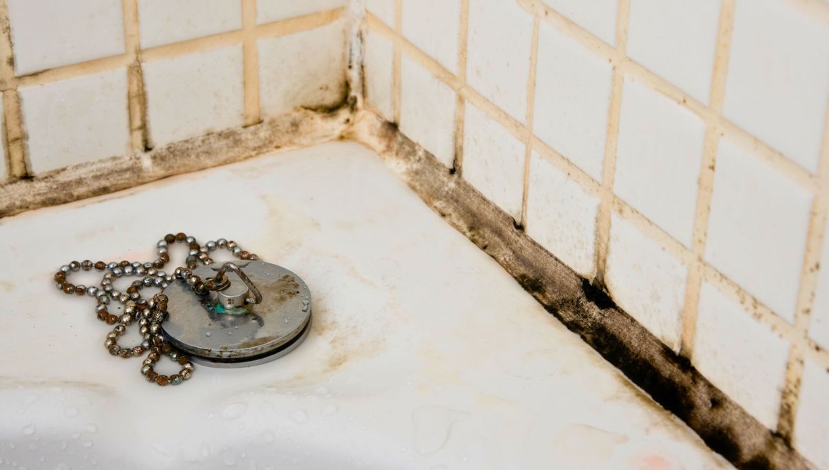 Lo ideal es realizar una limpieza profunda semanal del baño y sus partes. Lo ideal es realizar una limpieza profunda semanal del baño y sus partes. 