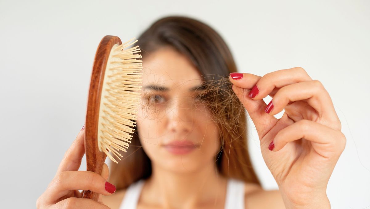 En el otoño es común que aumente la pérdida de cabello. En el otoño es común que aumente la pérdida de cabello.