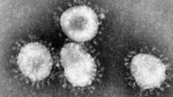 Consejos de la OMS para prevenir y enfrentar el coronavirus