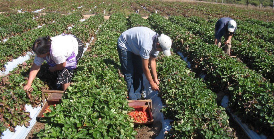 Avanza un proyecto para el desarrollo de unas 10  mil familias de pequeños agricultores y pueblos originarios