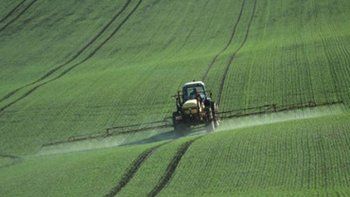 Más de la mitad del pan del Reino Unido contiene pesticidas