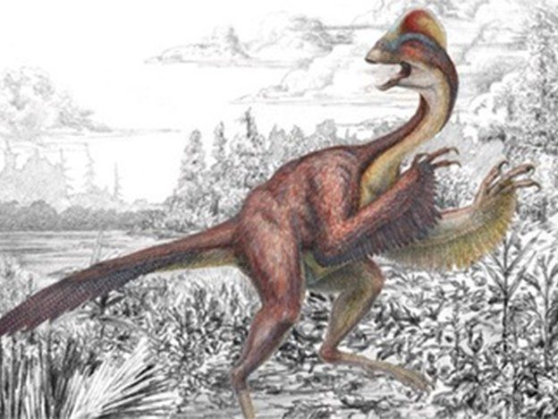 Descubren un dinosaurio apodado el pollo del infierno