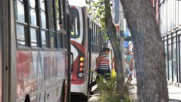 Hay cuatro firmas interesadas  en el nuevo servicio de colectivos