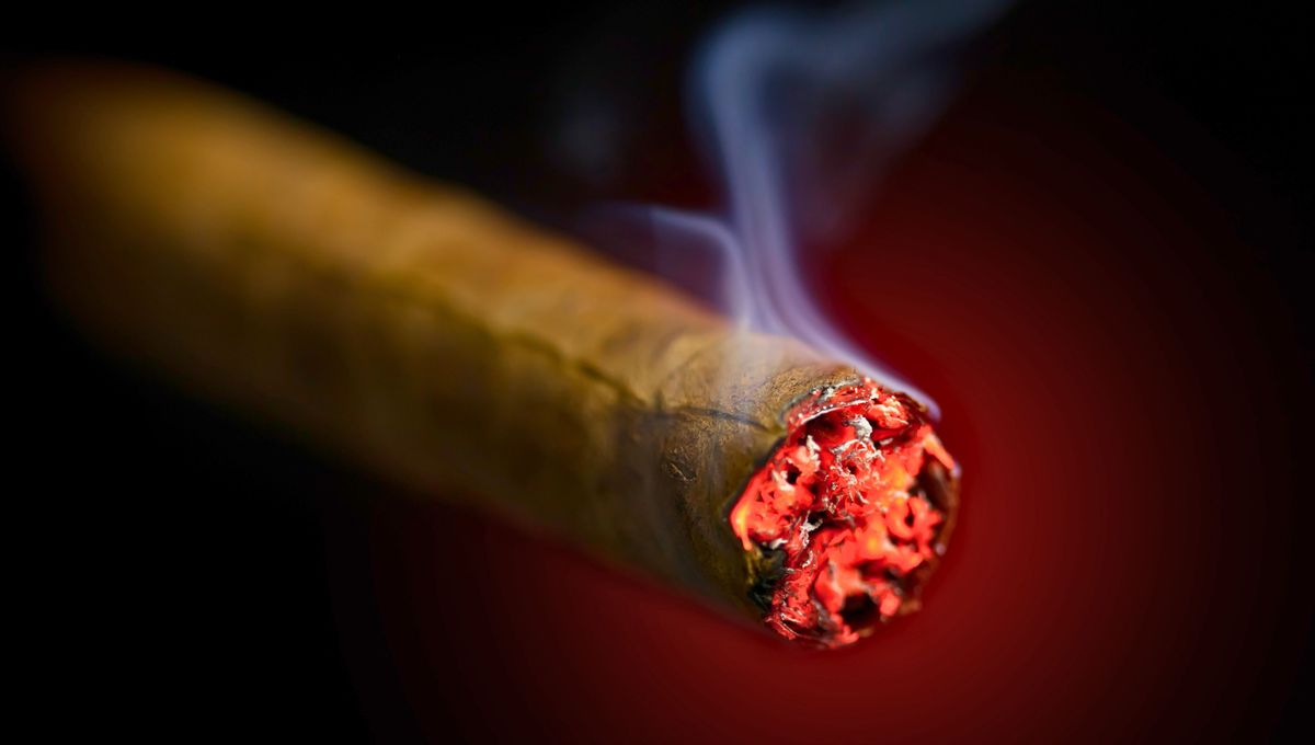 Limpia las quemaduras del auto con un poco de vinagre o detergente. Limpia las quemaduras del auto con un poco de vinagre o detergente. 