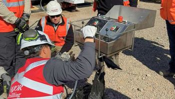 Tras 15 años, una empresa líder reactivó la perforación en Mendoza en busca de cobre