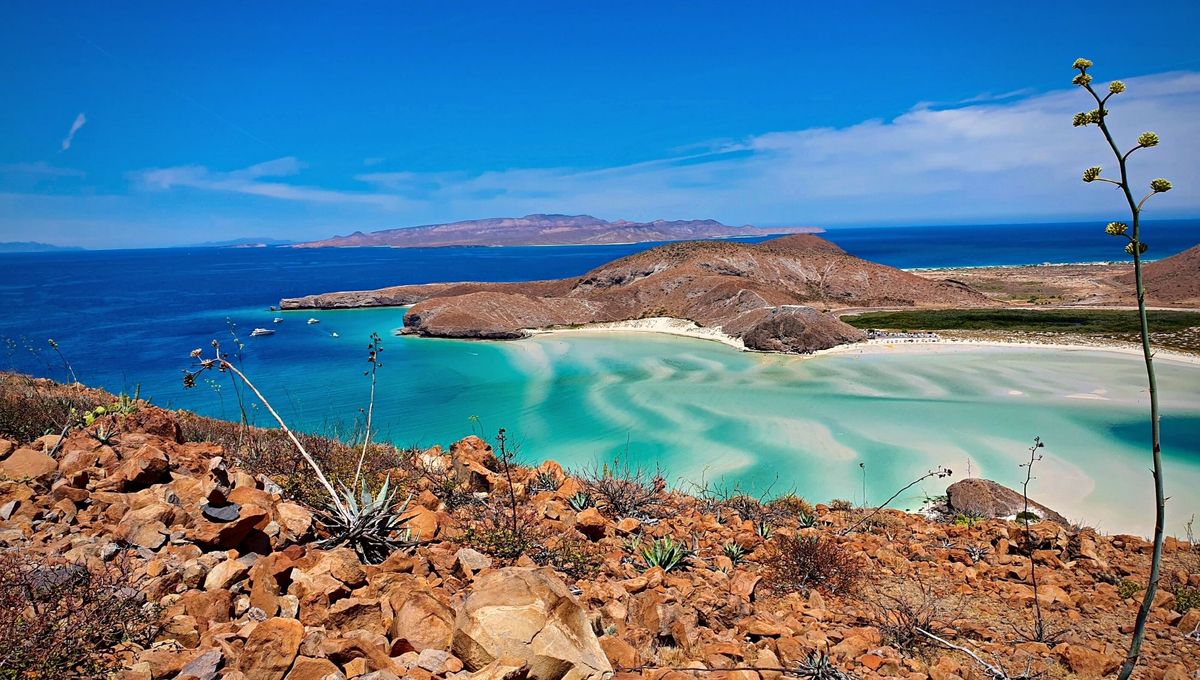 La playa más impactante de México que cambia el color del agua de ...