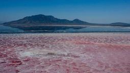 El lago único en el mundo que convierte a los animales en piedra y puede alcanzar los 60º.