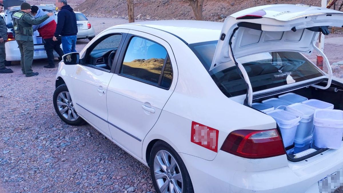 En el control de Gendarmería, intervino personal de la AFIP y de la Aduana (DGA).