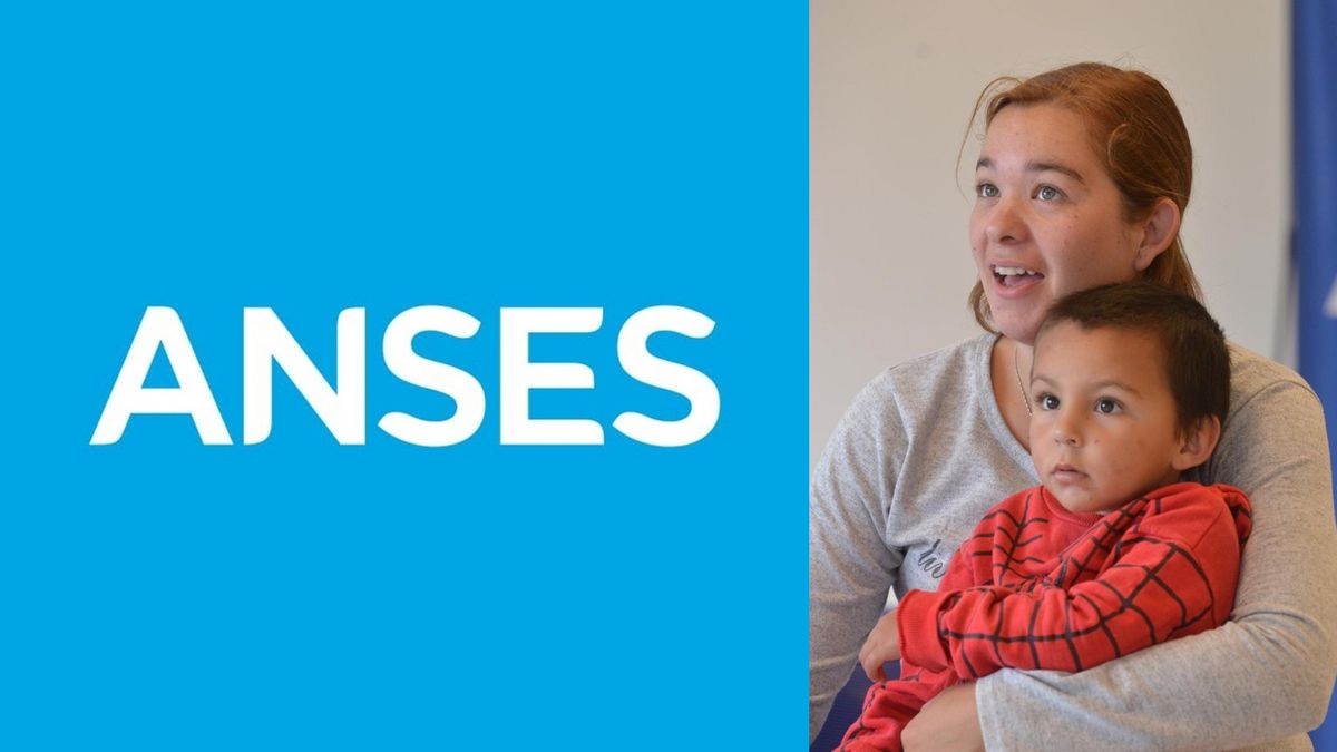 ANSES y Javier Milei confirmaron dos GRANDES NOTICIAS para AUH