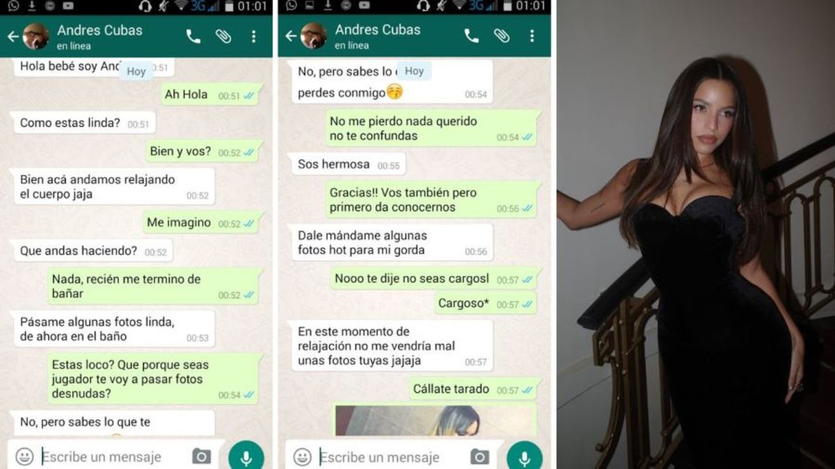 El supuesto chat entre Emilia Mernes y el jugador Andres Cubas. El supuesto chat entre Emilia Mernes y el jugador Andres Cubas.