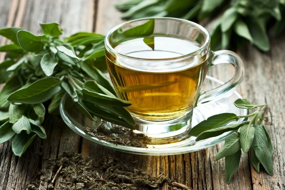 El té verde puede ser beneficioso para la piel aplicado en forma de mascarilla. El té verde puede ser beneficioso para la piel aplicado en forma de mascarilla.