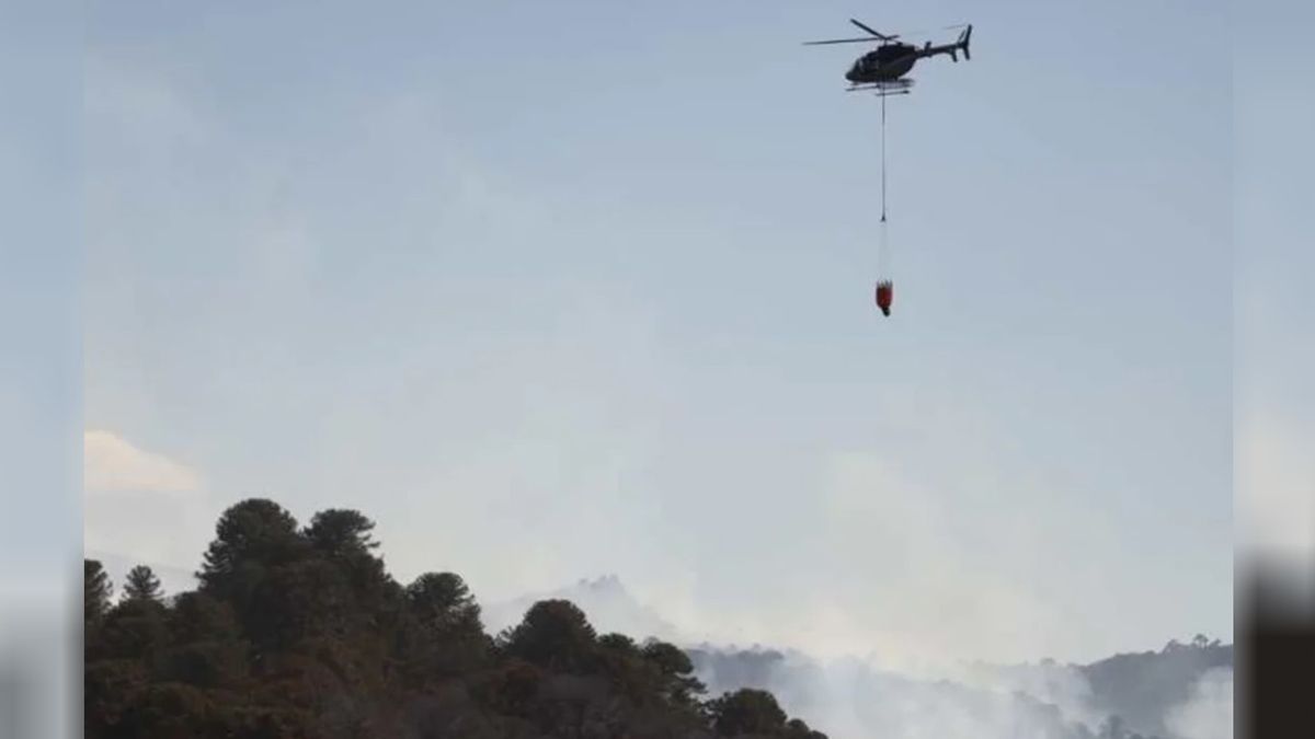 Un helicóptero que combatía incendios forestales en Neuquén se precipitó a tierra y murieron sus dos ocupantes