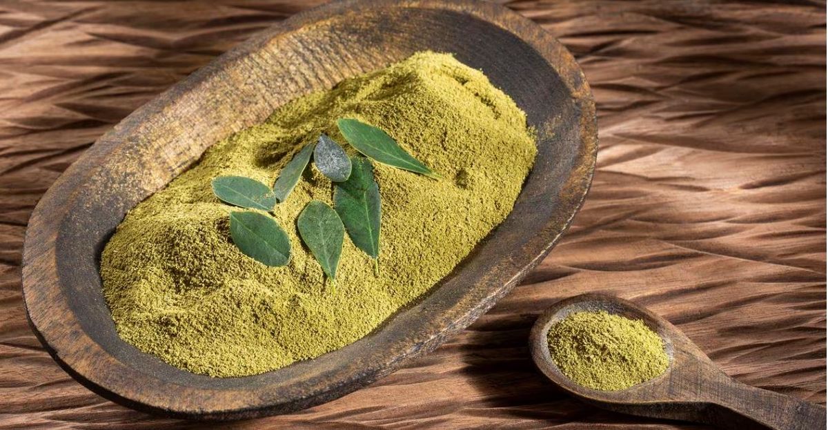 La planta medicinal La planta medicinal