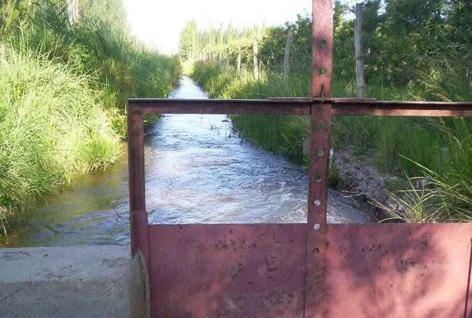 Un hombre murió ahogado en un canal