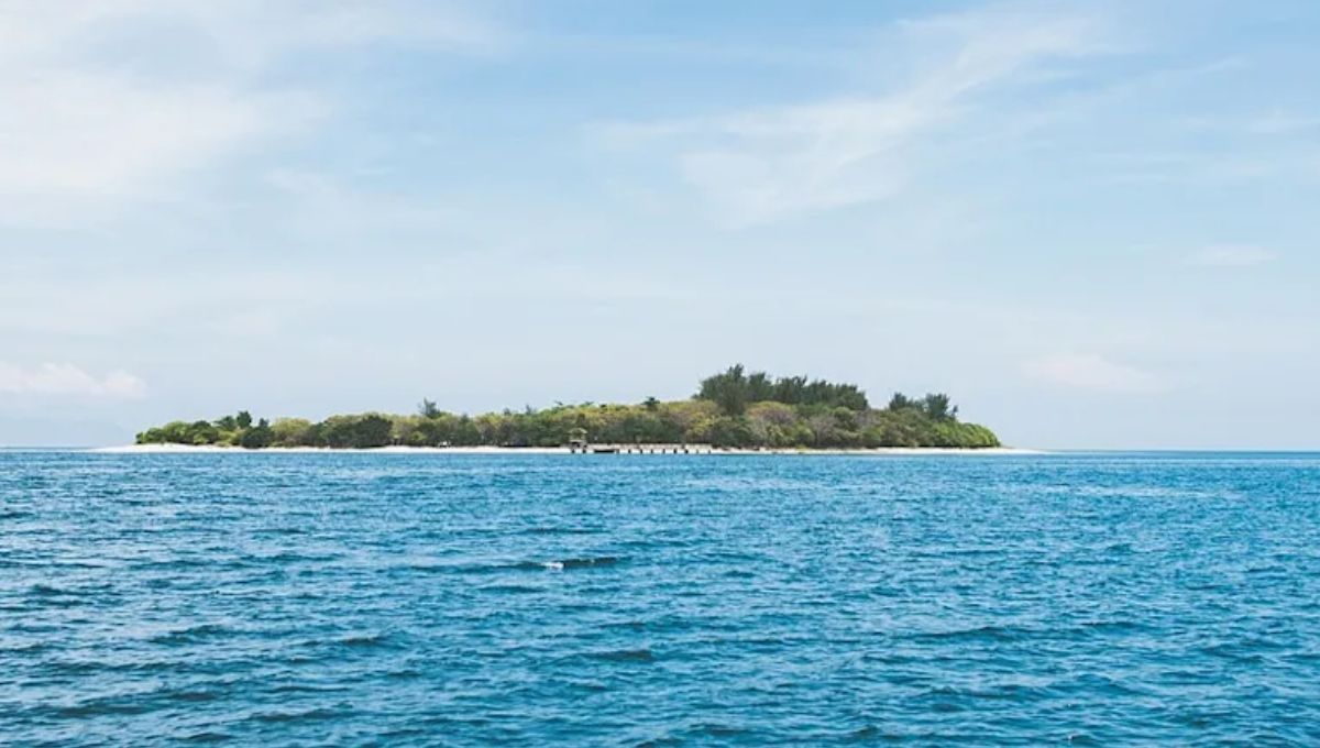 La isla en cuestión tiene entre 40 y 45 millones de años