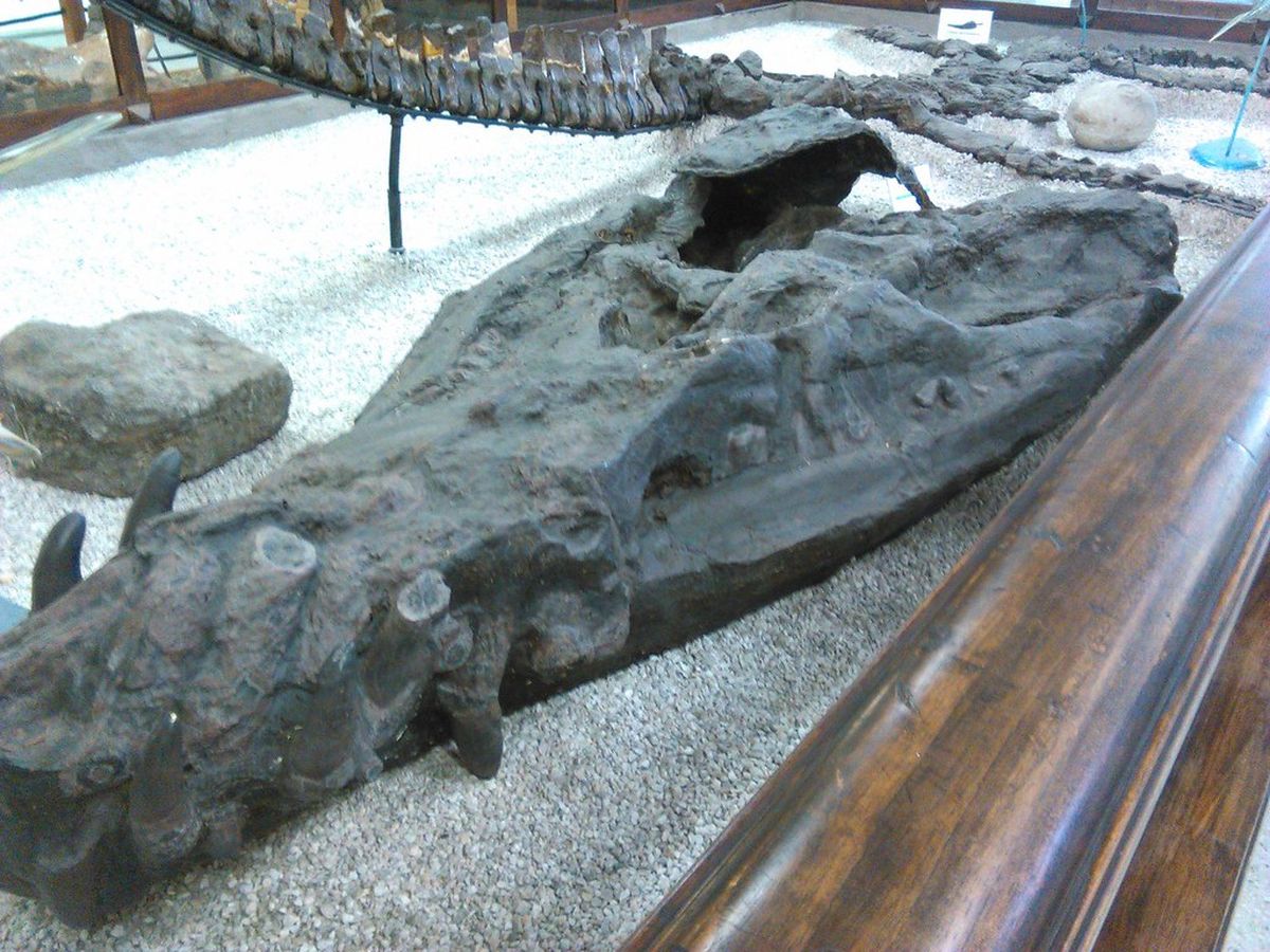 El descubrimiento en cuestión permanece bajo custodia. El descubrimiento en cuestión permanece bajo custodia.