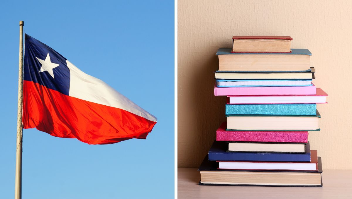 Además de Allende y Neruda: escritores chilenos que debes leer una vez en la vida