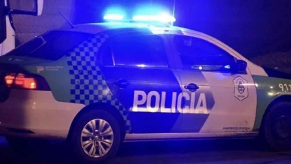 Detenido por golpear, drogar, darle comida para perros e intentar asesinar a su hijastra