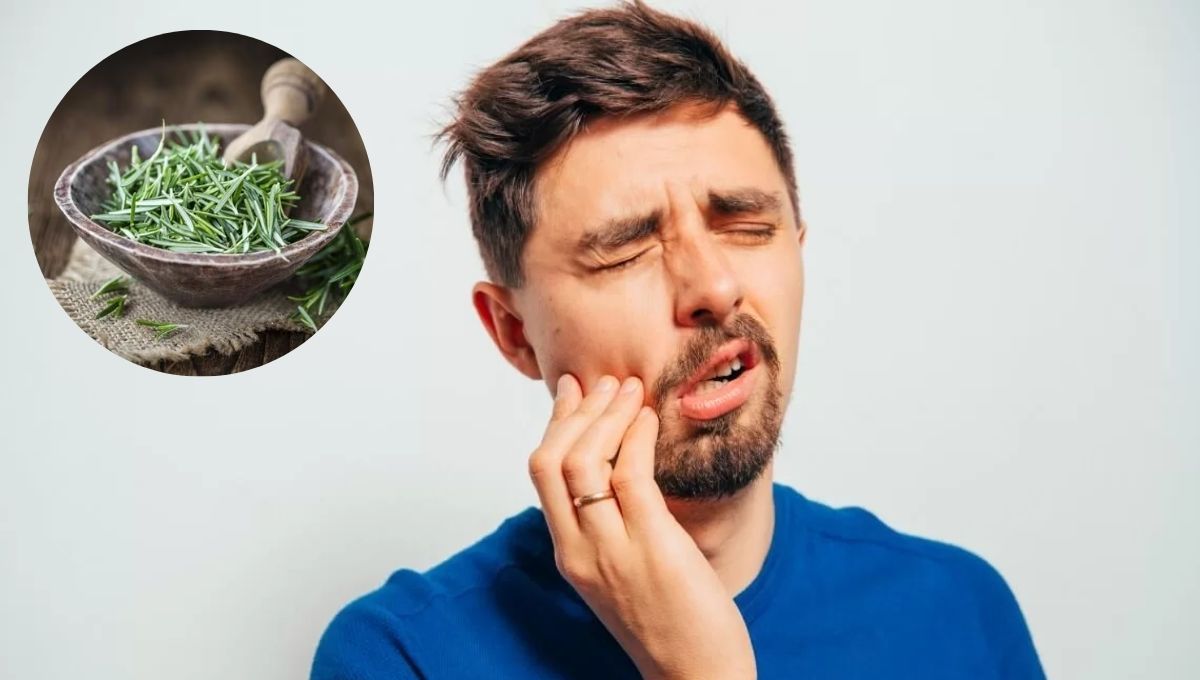 Cómo utilizar la planta de romero para decirle adiós al dolor de muelas: remedio casero efectivo