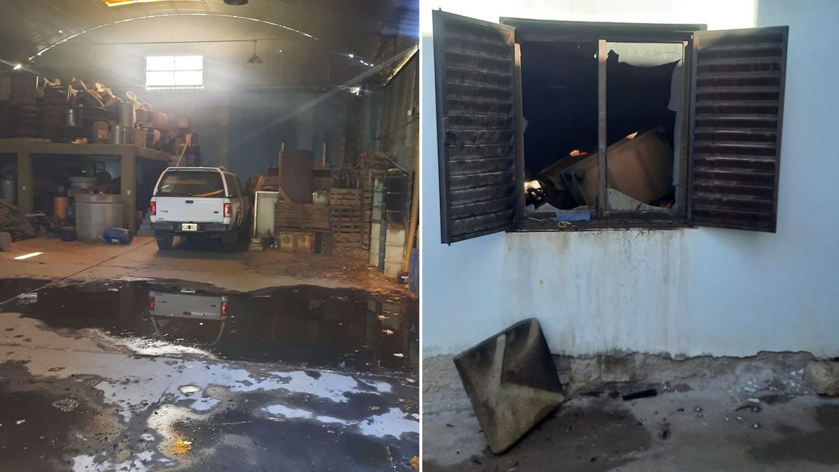 El incendio no llegó al vehículo que estaba dentro del galpón en Godoy Cruz. El incendio no llegó al vehículo que estaba dentro del galpón en Godoy Cruz.
