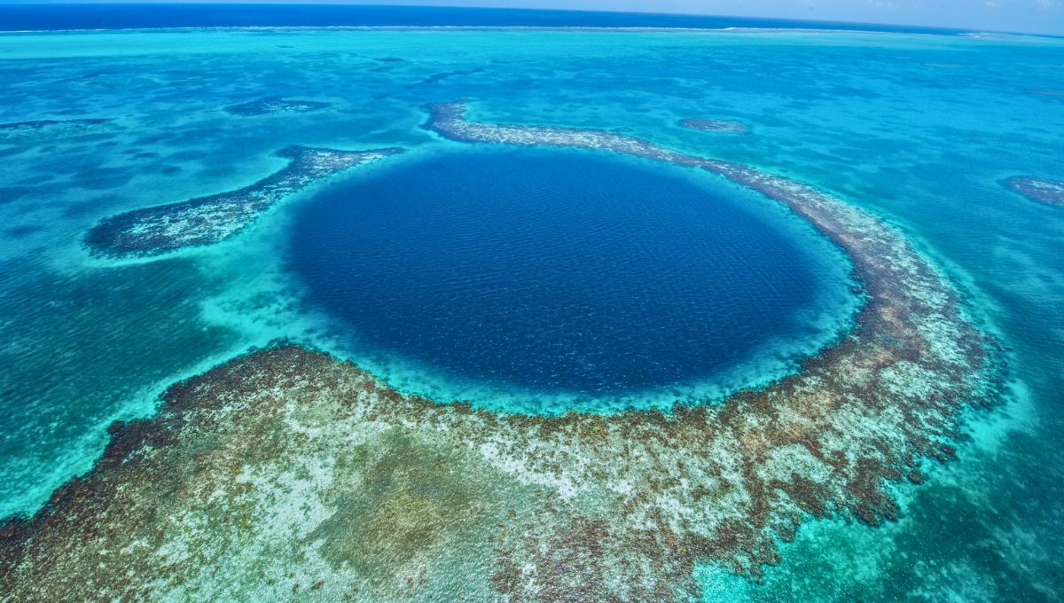 Alberga un ecosistema submarino excepcional, con especies adaptadas a sus profundidades y condiciones extremas. Alberga un ecosistema submarino excepcional, con especies adaptadas a sus profundidades y condiciones extremas. 