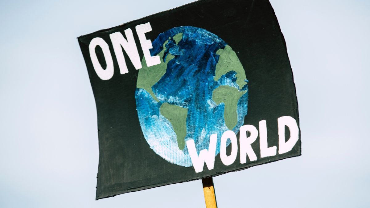 Foto: Pexels Foto: Pexels