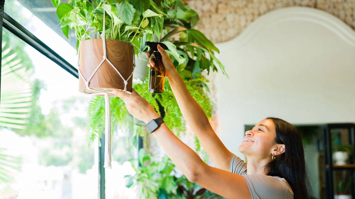 Adiós a las macetas tradicionales: cómo hacer un recipiente para plantas colgantes