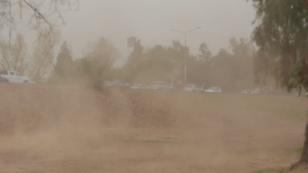 El viento sur en Mendoza provocó una muerte